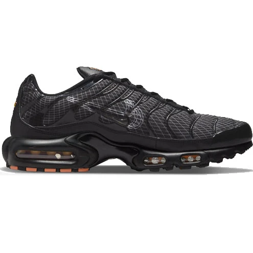 Air Max Plus 3D Swoosh