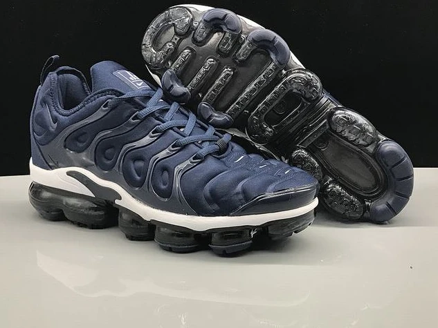 Air VaporMax Plus TN-1