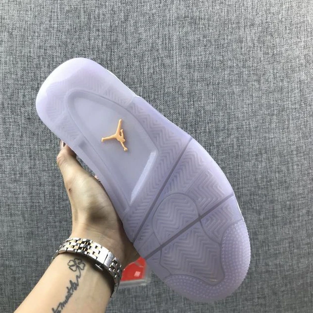 Nike Air Jordan 4 Chameleon-01