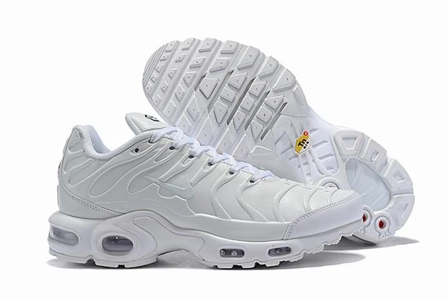 Nike Air Max TN-45