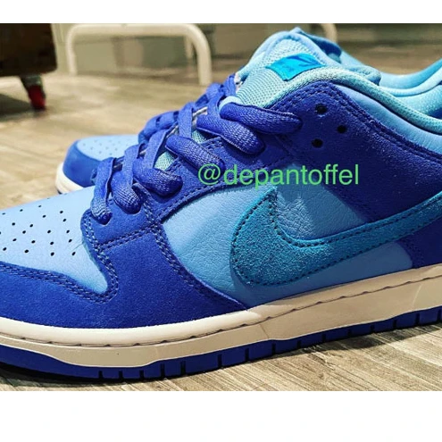 Nike Dunk SB Blue