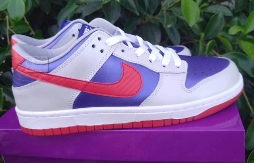 Nike SB Dunk-22