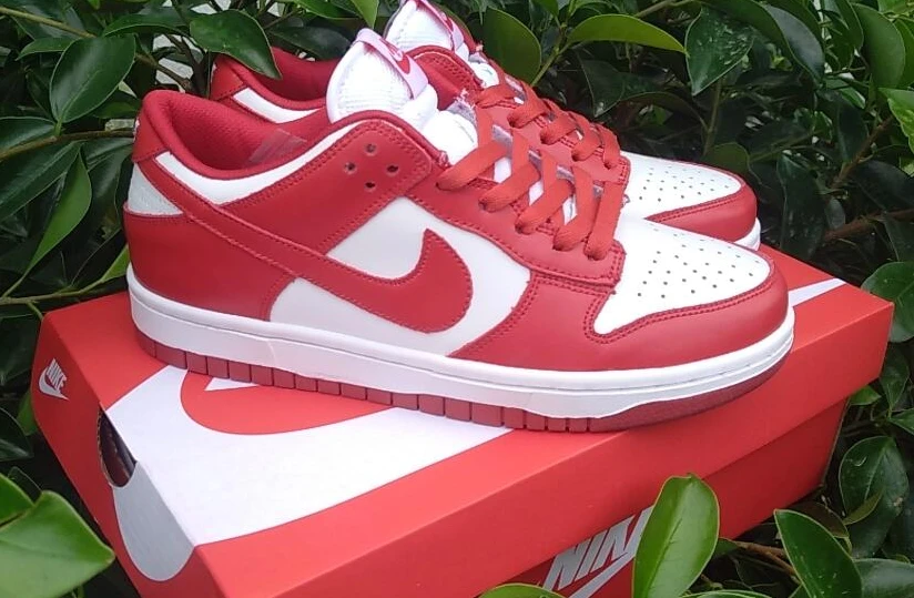 Nike SB Dunk-44