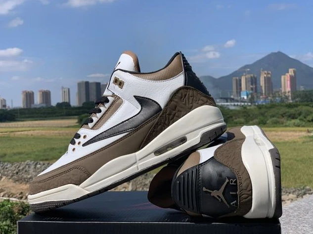 Travis Scott x Air Jordan 3-1