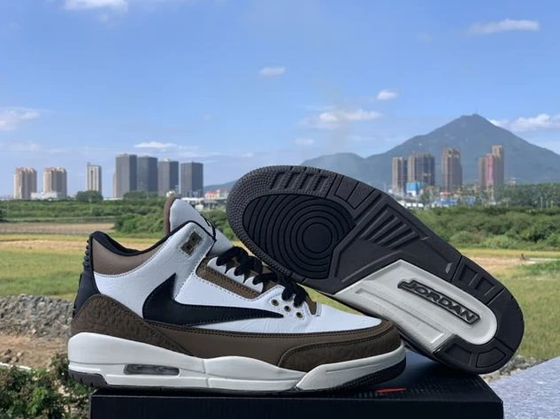 Travis Scott x Air Jordan 3-1