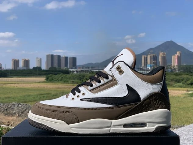 Travis Scott x Air Jordan 3-1
