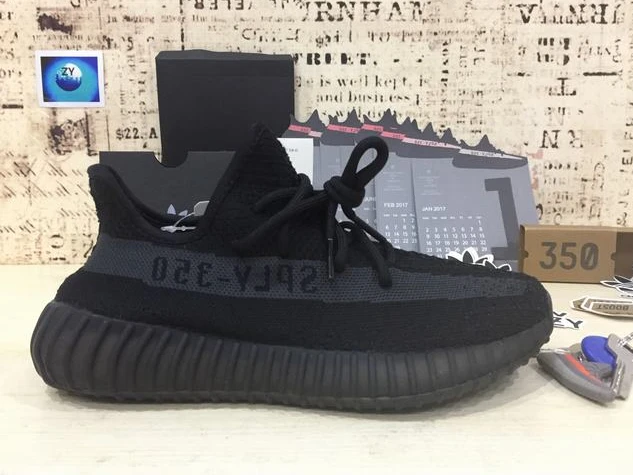 Yeezy 350-19
