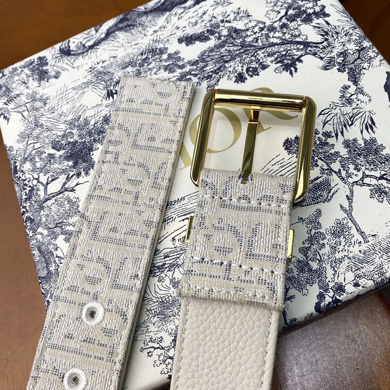 TOP Dior Belt Oblique Motif Canvas White Gold