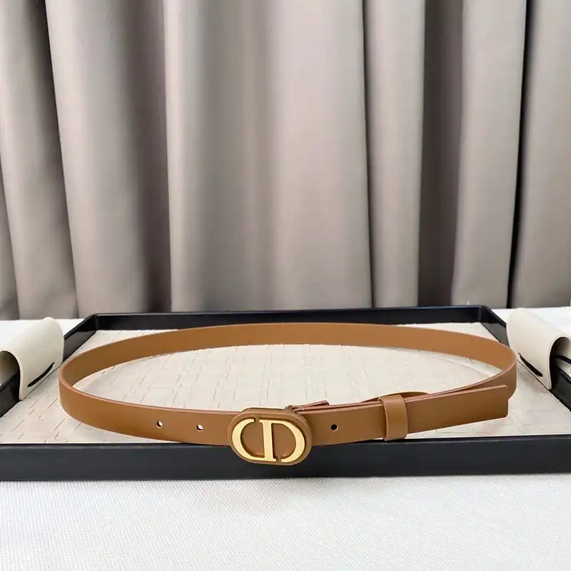 Hot Dior Bobby Belt 20MM Smooth Calfskin Brown