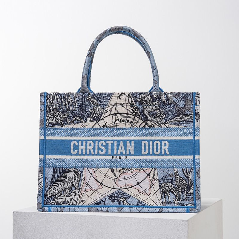 Dior Book Tote Around the World Motif Canvas Light Blue Hot Sale