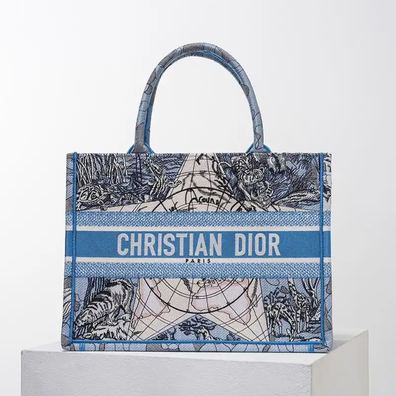 Dior Book Tote Around the World Motif Canvas Light Blue