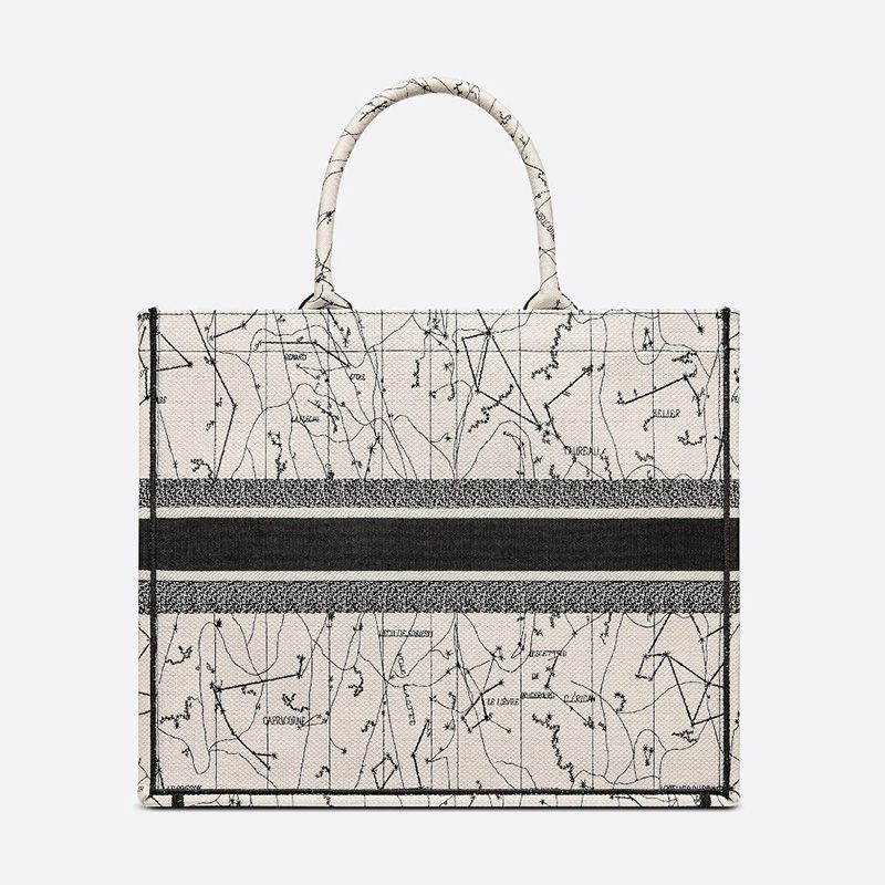 Dior Book Tote Constellation Motif Canvas Grey