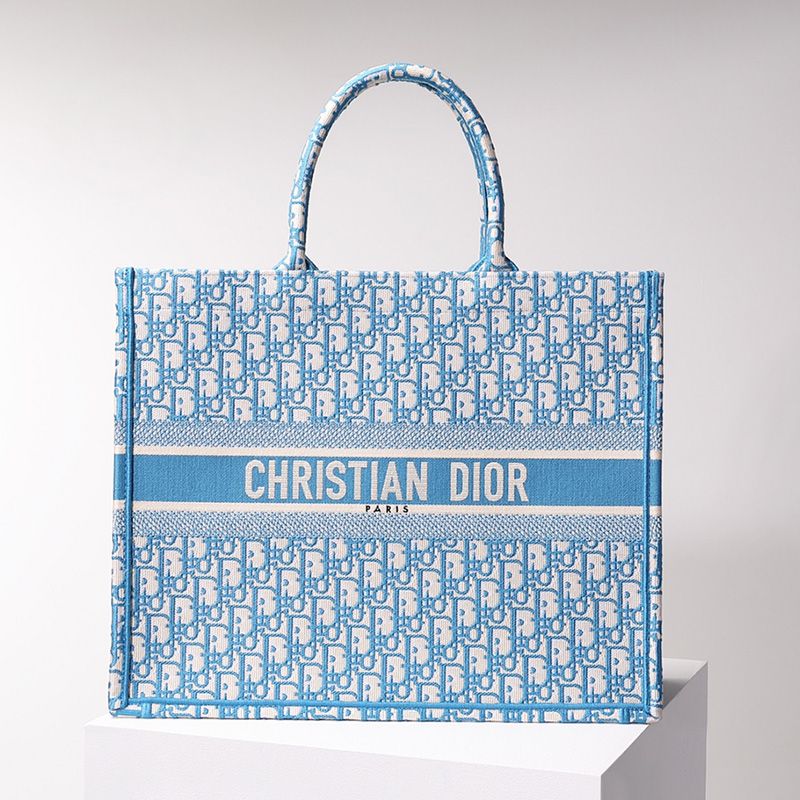 Dior Book Tote Oblique Motif Canvas Light Blue Hot Sale