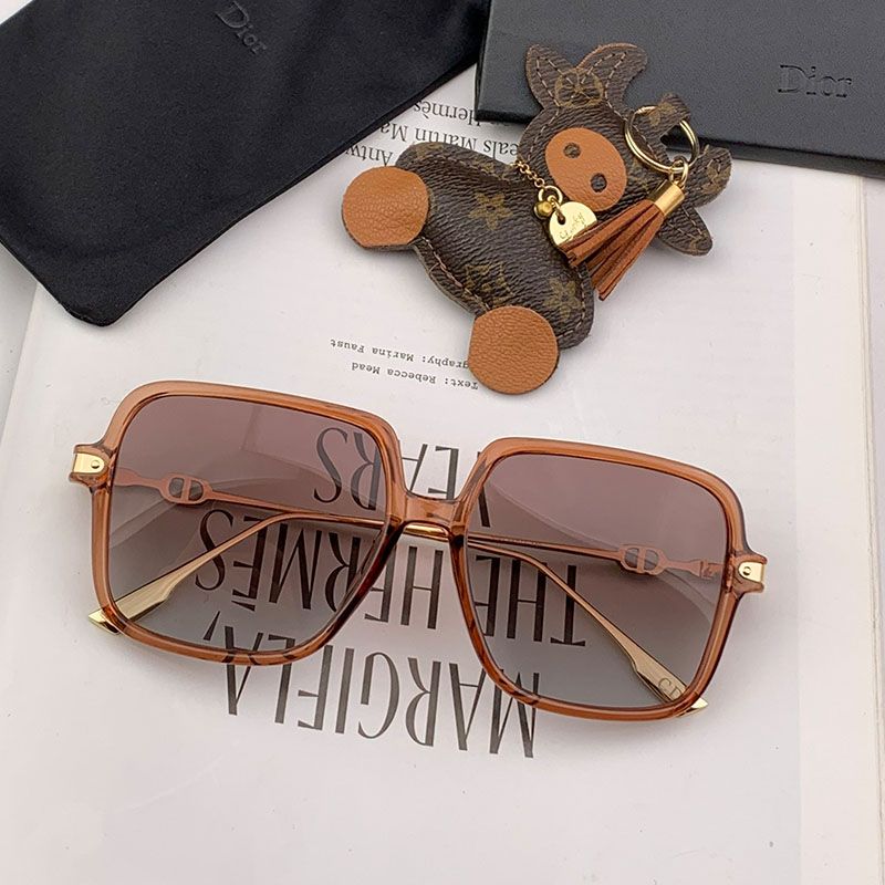 Dior CD2233 Shaded Square Sunglasses In Brown Hot Sale