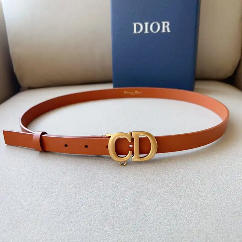 Cheap Hot Dior Saddle Removable Pouch Belt 20MM Ultrasoft Calfskin Brown