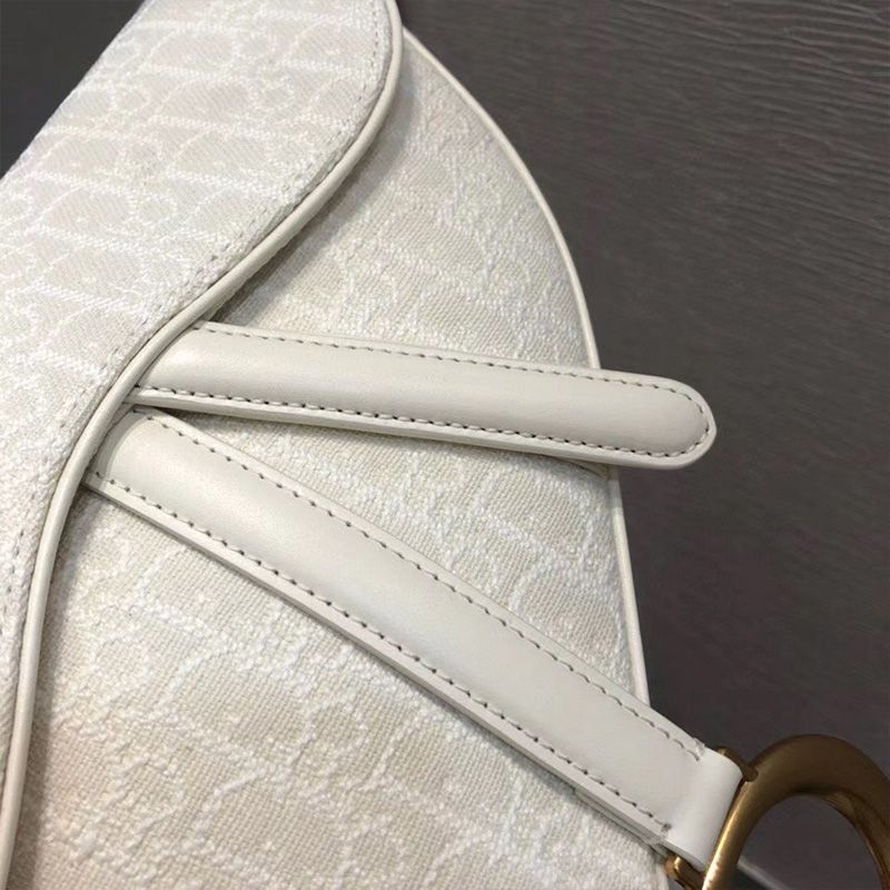 Dior Saddle Bag Oblique Motif Canvas White Hot Sale