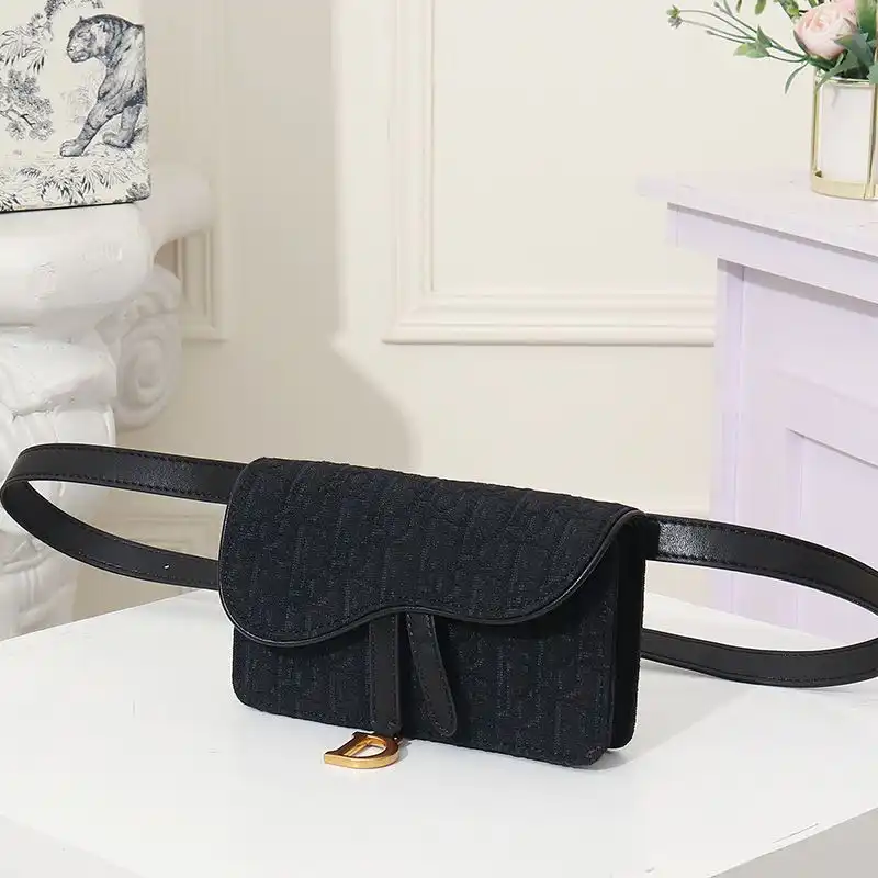 Hot Dior Saddle Belt Pouch Oblique Motif Canvas Black