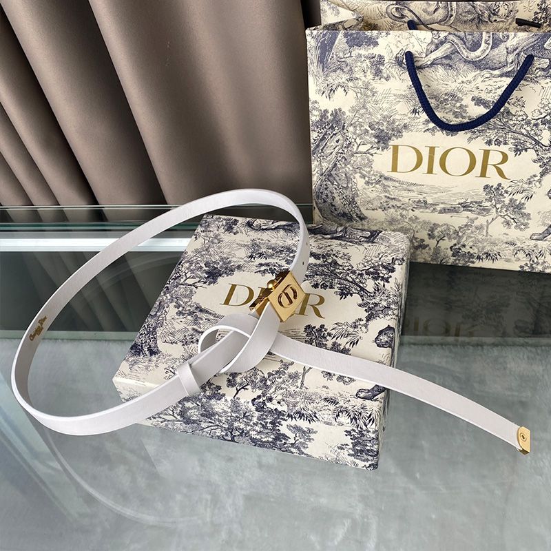 Diorpolytechnique Belt Smooth Calfskin White Gold Hot Sale