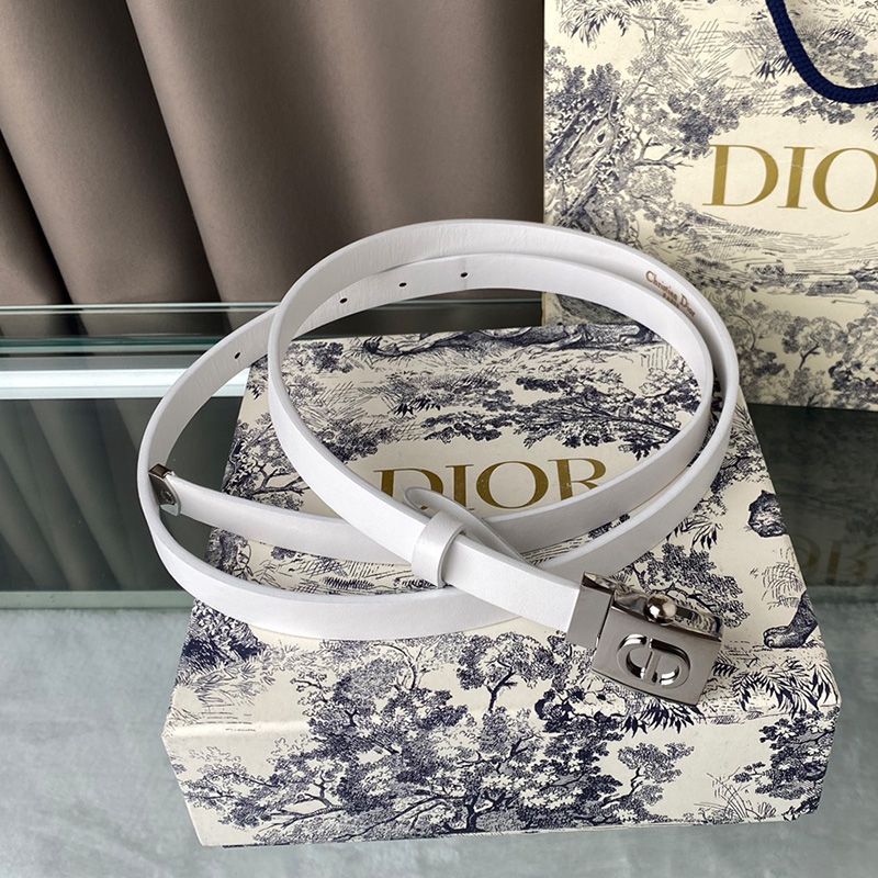 Diorpolytechnique Belt Smooth Calfskin White Silver Hot Sale