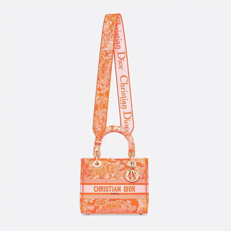 Cheap Medium Lady D-lite Bag Toile de Jouy Motif Canvas Orange Luxury