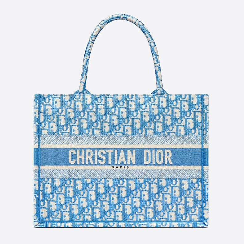 AllSeason 4986 Dior Book Tote In Oblique Motif Canvas Light Blue