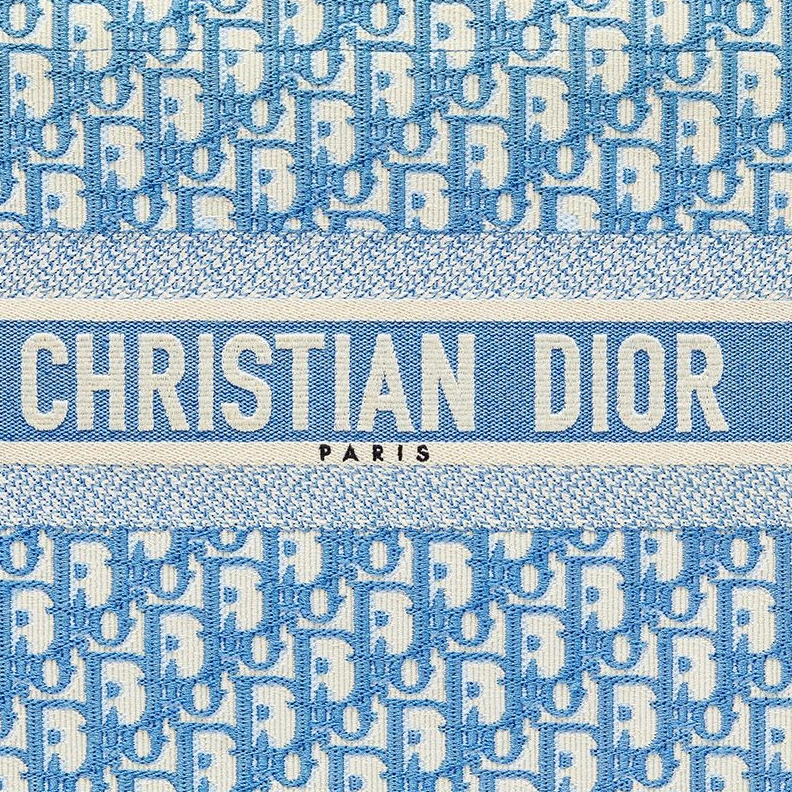 AllSeason 4986 Dior Book Tote In Oblique Motif Canvas Light Blue