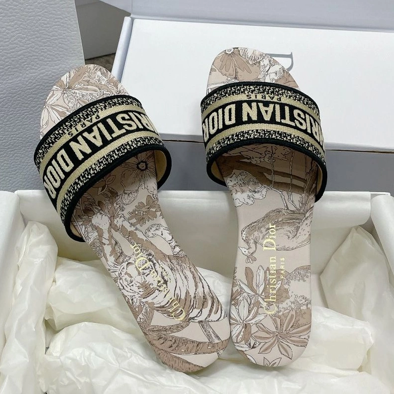 Christian Dior Dway Slides Women Toile de Jouy Voyage Motif Canvas Grey DailyWear 3254