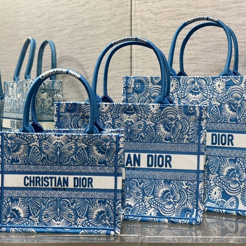 DailyWear 1004 Dior Book Tote In D-Butterfly Paisley Motif Canvas Blue