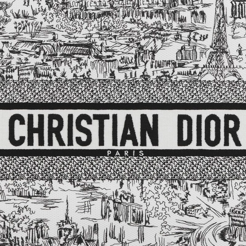 Dior Book Tote In Paris Allover Motif Canvas White StreetReady 3972