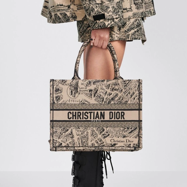 Dior Book Tote In Plan de Paris Motif Canvas Beige ModernLook 621