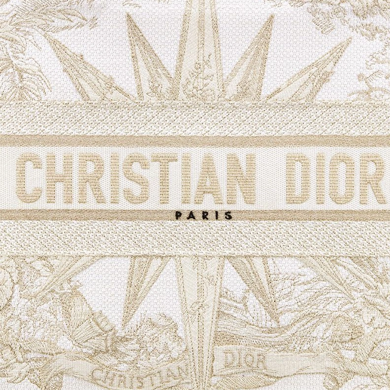 Dior Book Tote In Reve d'Infini Motif Canvas White Popular 2634