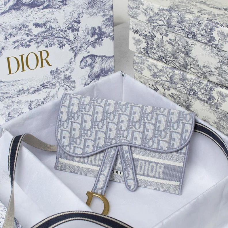 EasyMatch 3042 Christian Dior Saddle Slim Pouch Oblique Motif Canvas White