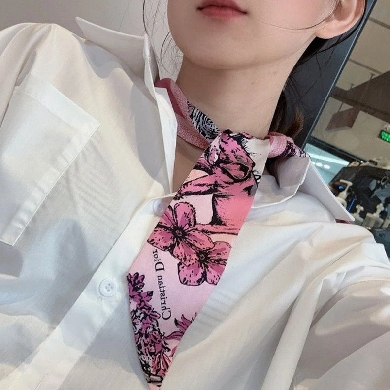 GoAnywhere 683 Dior Mitzah Twill In Toile de Jouy Voyage Motif Silk Pink