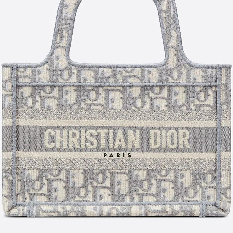 GoAnywhere 8956 Mini Dior Book Tote In Oblique Motif Canvas Grey