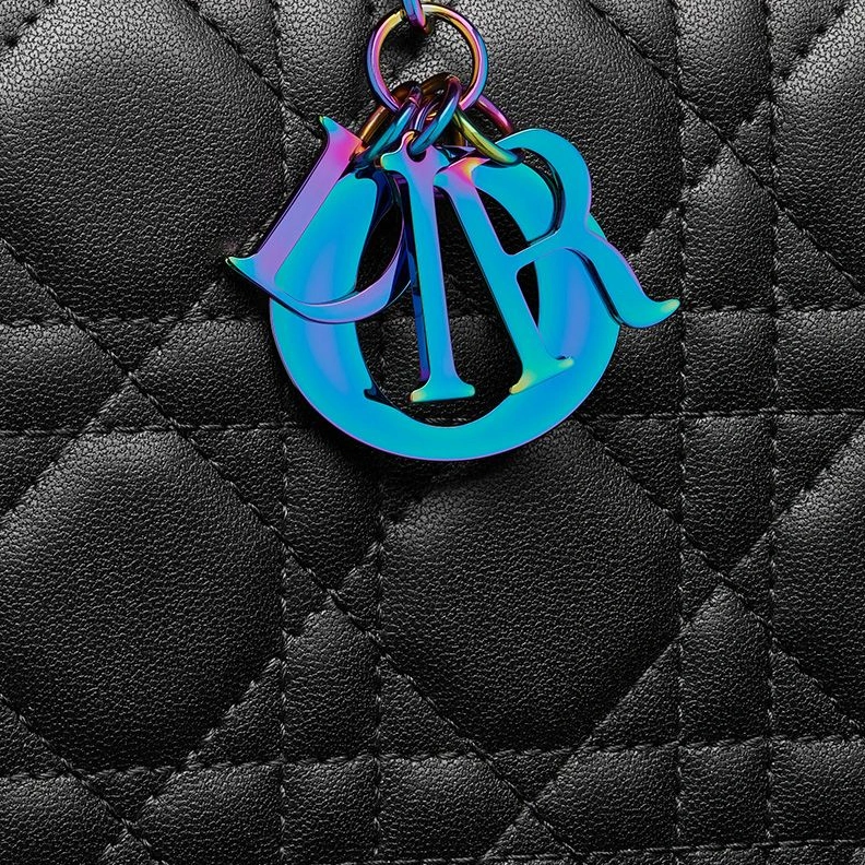 Lady Dior Pouch Emblematic Cannage Lambskin Black EasyMatch 7615