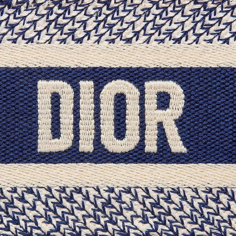 Mini Dior Book Tote In Toile De Jouy Motif Canvas Blue StreetReady 6879