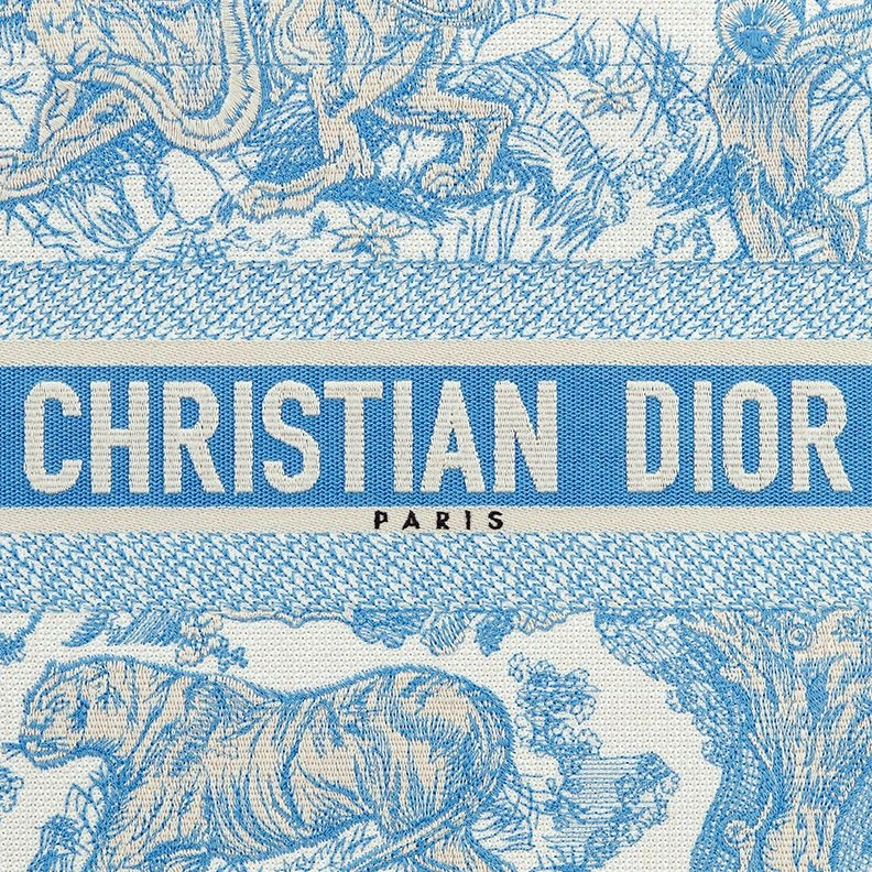 SportInspired 6030 Dior Book Tote In Toile De Jouy Motif Canvas Light Blue