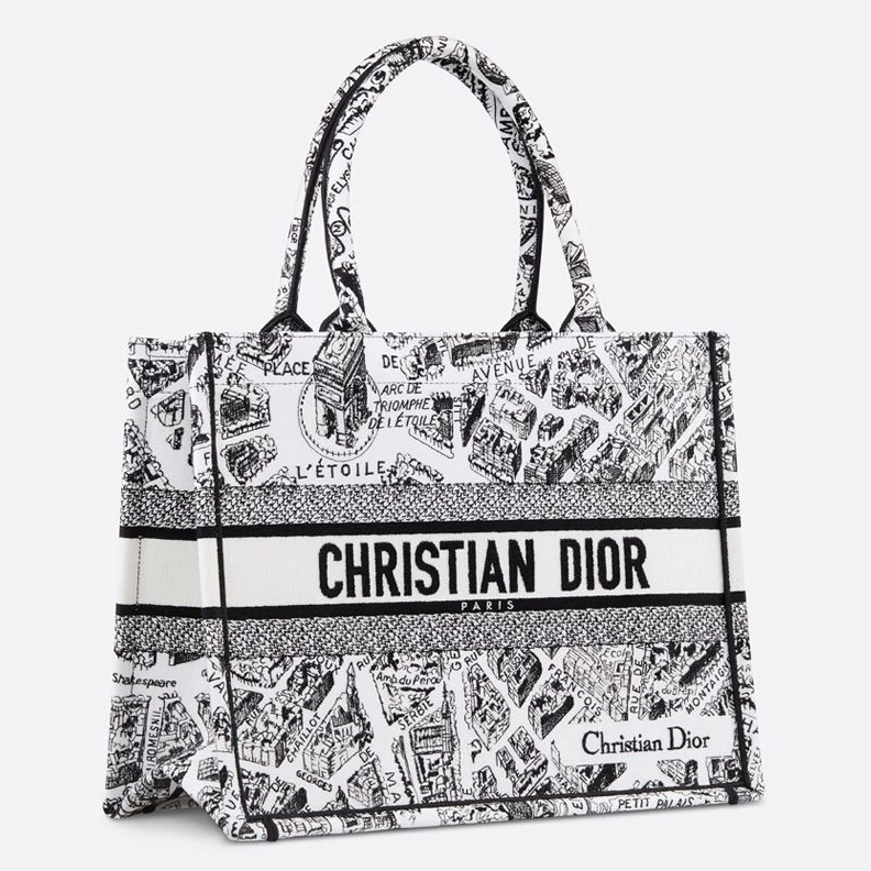 UrbanStyle 3993 Dior Book Tote In Plan de Paris Motif Canvas White