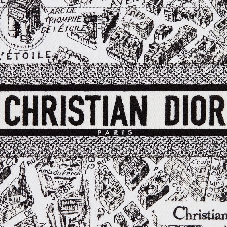 UrbanStyle 3993 Dior Book Tote In Plan de Paris Motif Canvas White