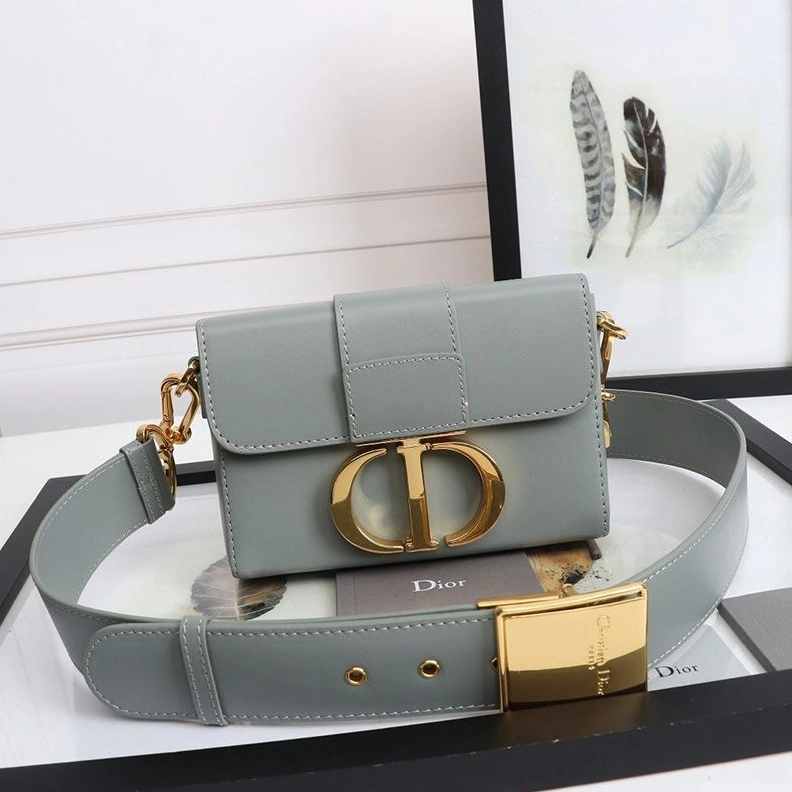 WellDesigned 8520 Dior 30 Montaigne Box Bag In Calfskin Grey