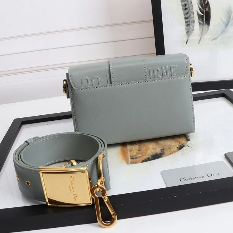 WellDesigned 8520 Dior 30 Montaigne Box Bag In Calfskin Grey