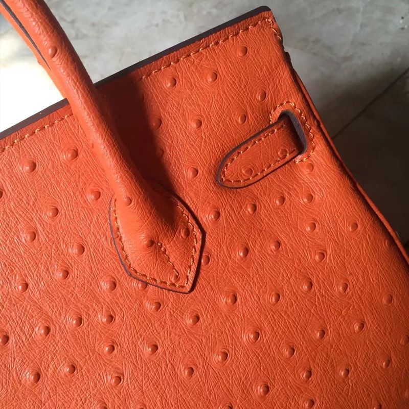 Hermes Birkin Bag Ostrich Leather Gold Hardware In Orange