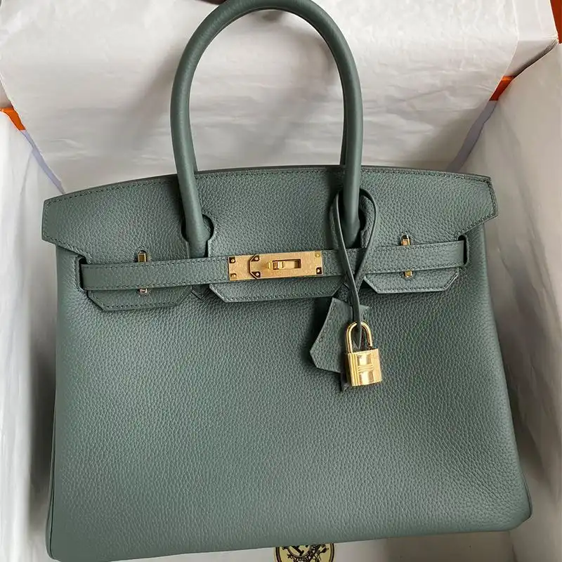 Hermes Birkin Bag Togo Leather Gold Hardware In Almond Green