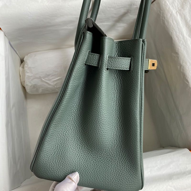 Hermes Birkin Bag Togo Leather Gold Hardware In Almond Green