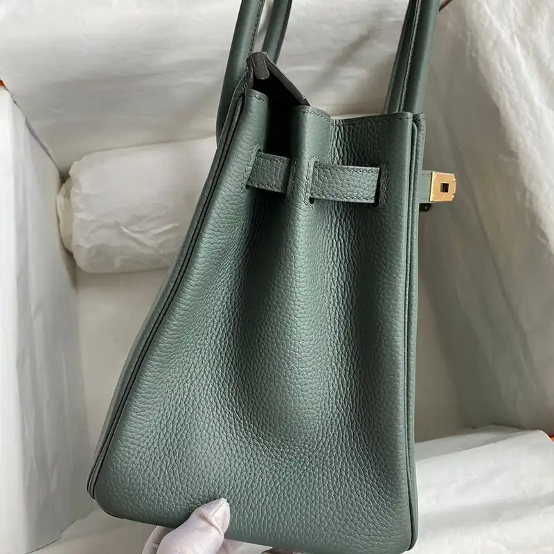 Affordable Hermes Birkin Bag Togo Leather Gold Hardware In Almond Green