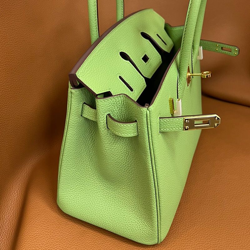 Hermes Birkin Bag Togo Leather Gold Hardware In Avocado Green