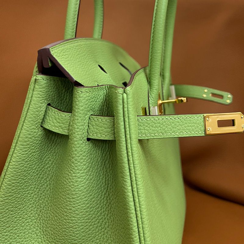 Hermes Birkin Bag Togo Leather Gold Hardware In Avocado Green