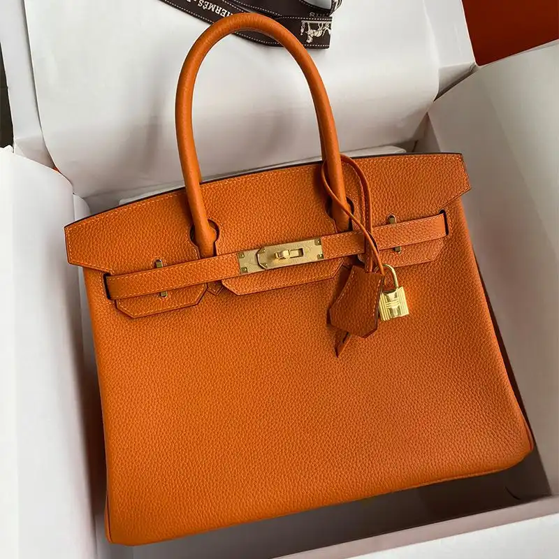 Hermes Birkin Bag Togo Leather Gold Hardware In Orange