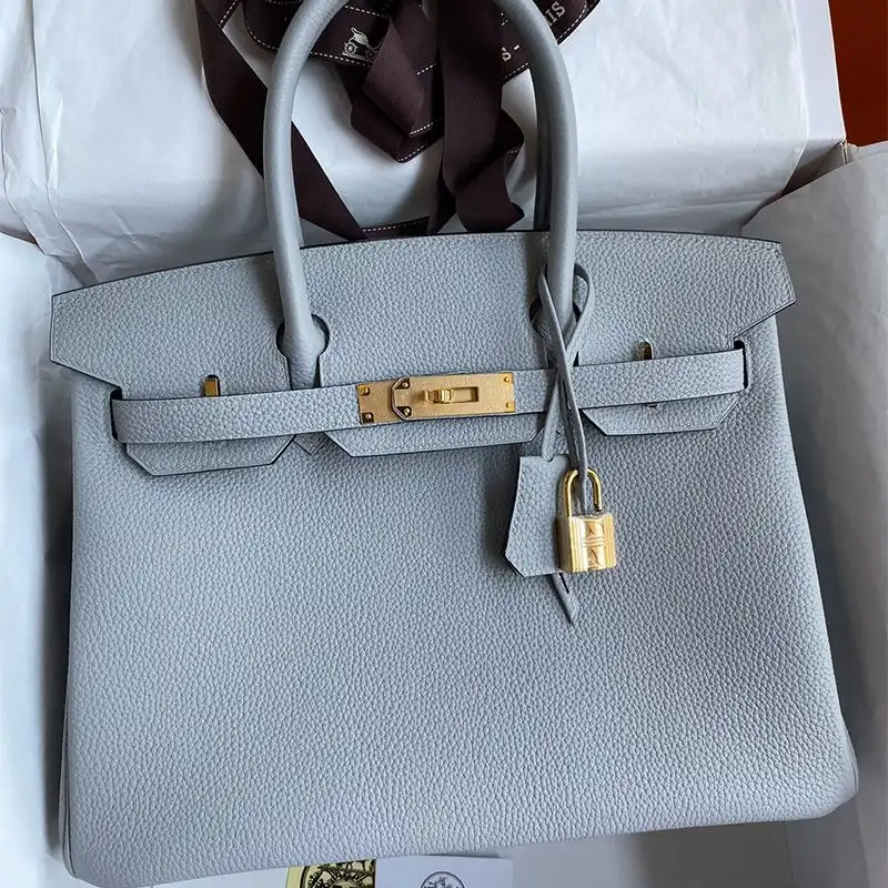 Hermes Birkin Bag Togo Leather Gold Hardware In Sky Blue