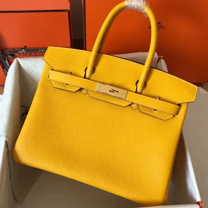 Hermes Birkin Bag Togo Leather Gold Hardware In Yellow